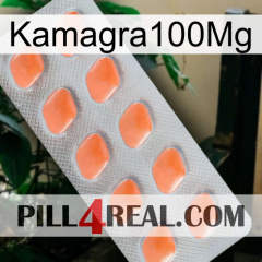 Kamagra100Mg 26